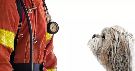 dog and fireman