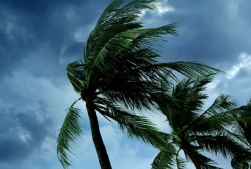 Hurricanes &amp; Floods image