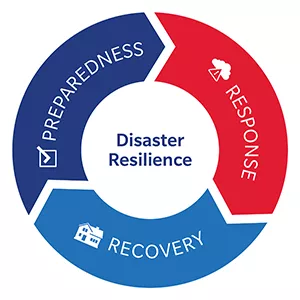 Disaster Resilience image