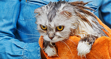 Home Fire Prevention Tips : Farmers Insurance