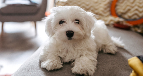 What Renters Want - Popular Renters Amenities: Farmers Insurance®