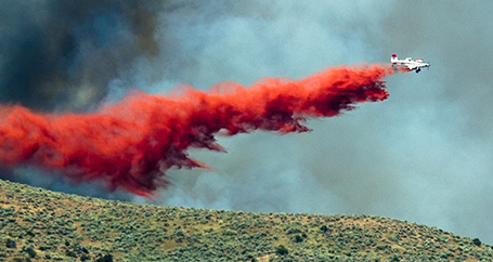 Wildfire Preparedness for Your Business : Farmers Insurance