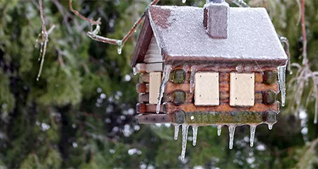 Recovering from a Natural Disaster : Farmers Insurance