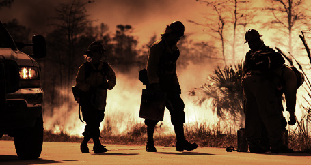 Running From a Dangerous Wildfire : Farmers Insurance