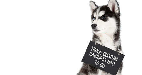 How a Dog Forced a Kitchen Remodel : Farmers Insurance