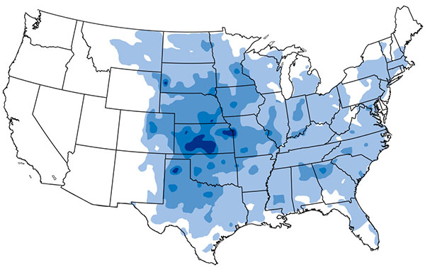Map of U.S map showing greatest concentration of hailstorms in Midwest and Great Plains 