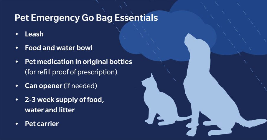  Please see transcript below