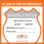 Pet rescue alert stickers, This image is for decoration purpose only