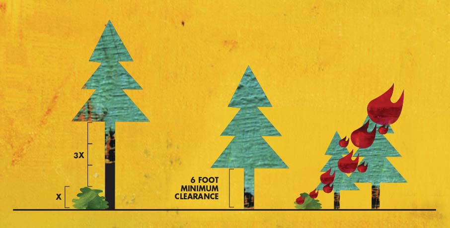 6 Foot minimum clearance