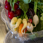 fresh vegetables in an open container