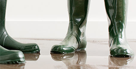 Damage From a Flooded Basement : Farmers Insurance