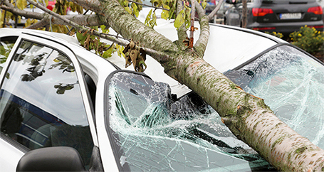 How Do I File a Car Insurance Claim : Farmers Insurance