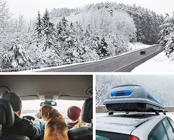 composite image driving in winter, car interior with two people and dog