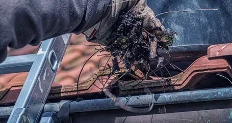 Fall Home Maintenance Tips : Farmers Insurance®