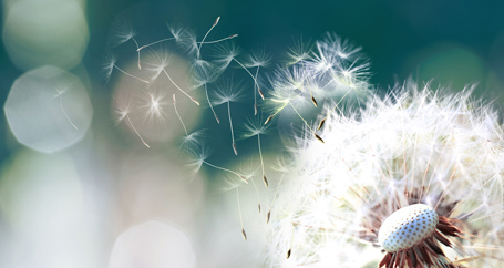 Proper Estate Planning – How to Plan for Your Death : Farmers Insurance®