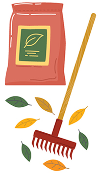illustration of a rake and leaves