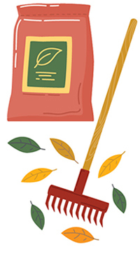 illustration of a rake and leaves